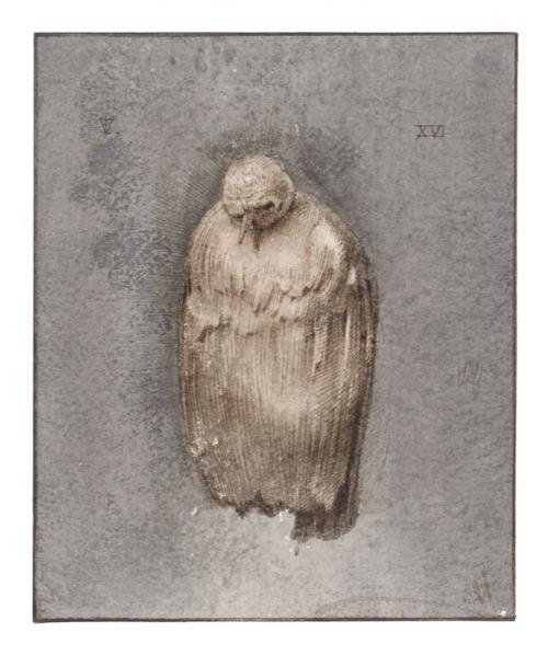 Hopstreet Gallery: Tinus Vermeersch, untitled, ink on paper, 14x11,6cm, 2016.