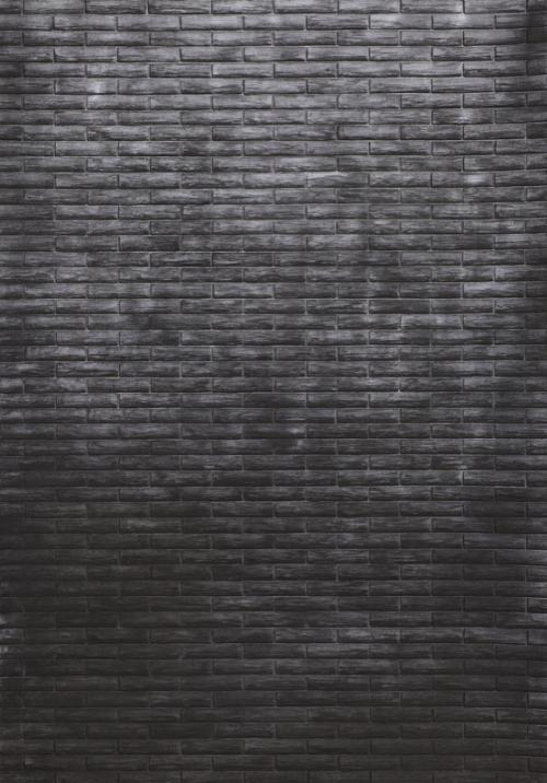 Gallery Sofie Van de Velde: Hannelore Van Dijck , 077, Charcoal On Paper, 29,6x20,9cm, 2014.