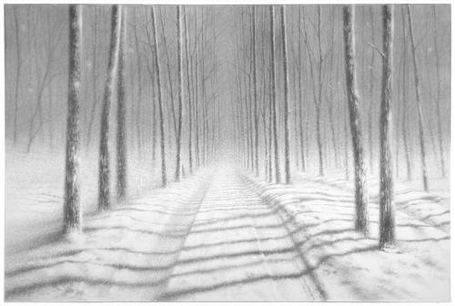 Galerie JJ Heckenhauer: Danja Akulin, Untitled, graphite, pencil on paper, laid down on canvas, 140x200cm, 2017.