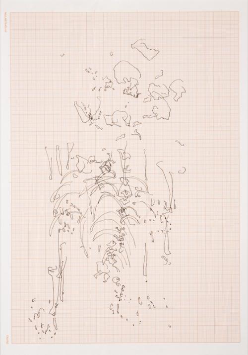Meessen De Clercq: Nicolas Lamas, Eye tracking, Drawing on graph paper, 30,5x42,5cm, 2016.