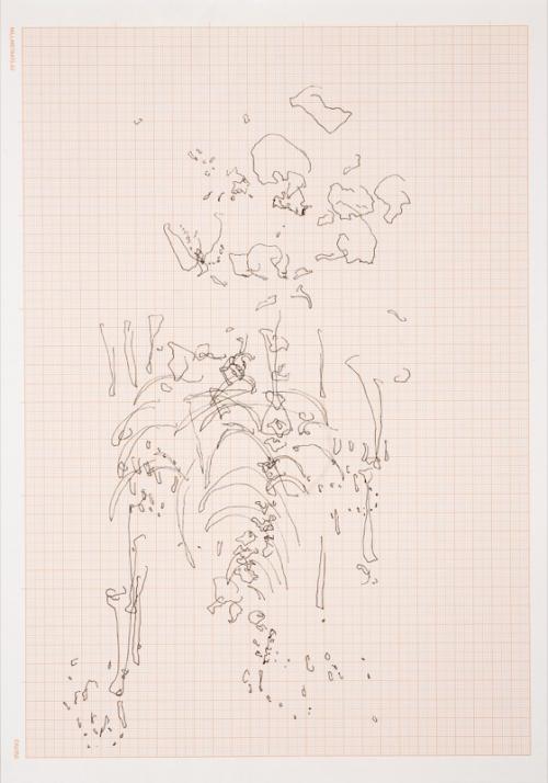 Meessen De Clercq: Nicolas Lamas, Eye tracking, Drawing on graph paper, 30,5x42,5cm, 2016.