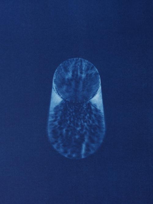 Archiraar Gallery: Takahiro Kudo, UNTITLED, Blueprinting on paper, 265 x 20cm, 2015.