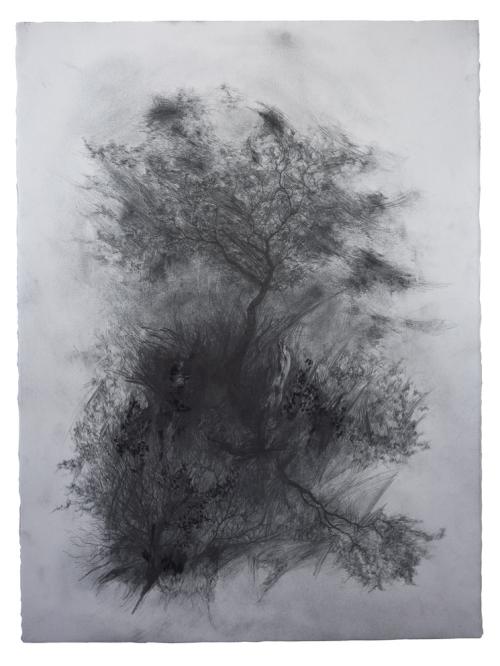 DMW Art Space: Joris Vanpoucke, Appearance, Graphite on paper, 76 x 57cm, 2018.